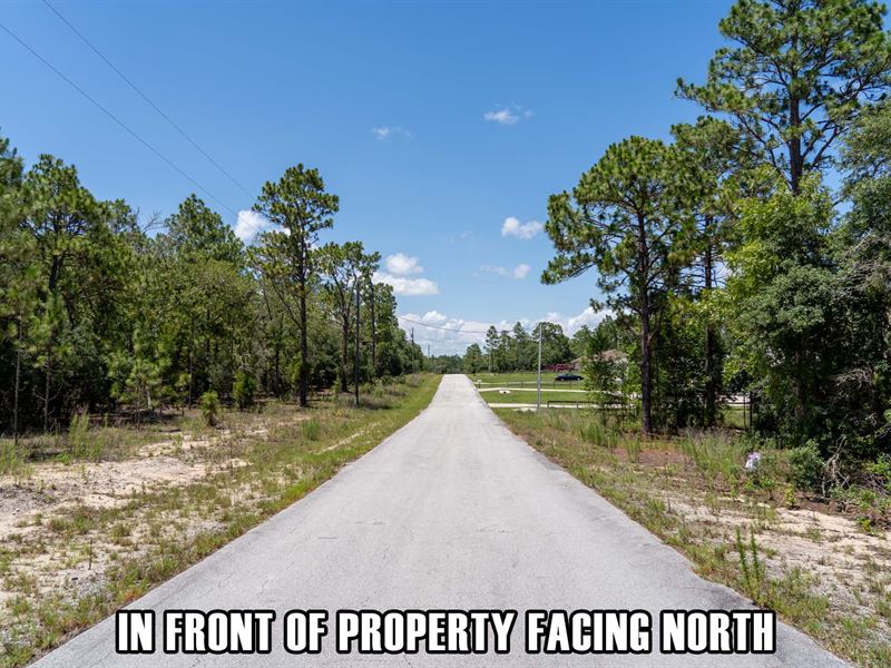 Rainbow Lakes, Paved Rd, Dunnellon : Dunnellon : Marion County : Florida