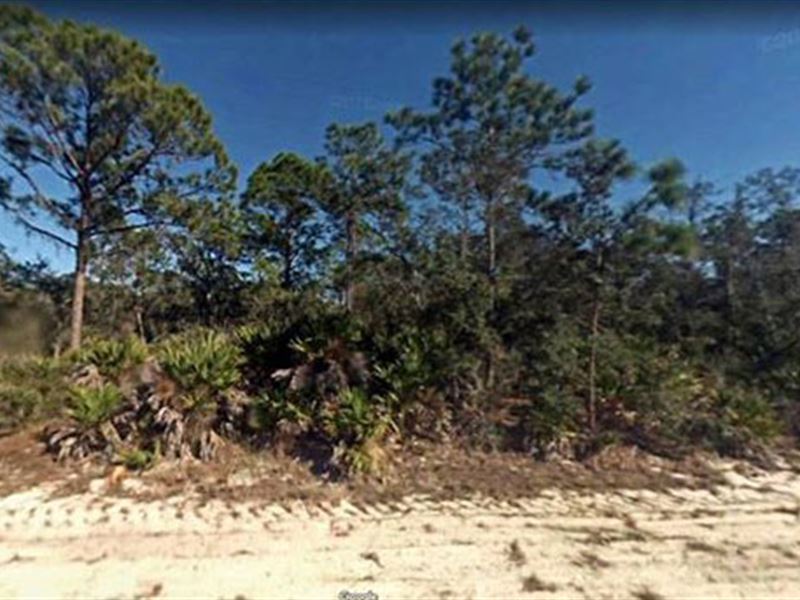 Invest in Florida if You Can : Lake Placid : Highlands County : Florida
