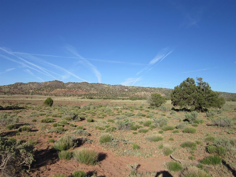 Off-Grid Living in Northeastern AZ : Concho : Apache County : Arizona