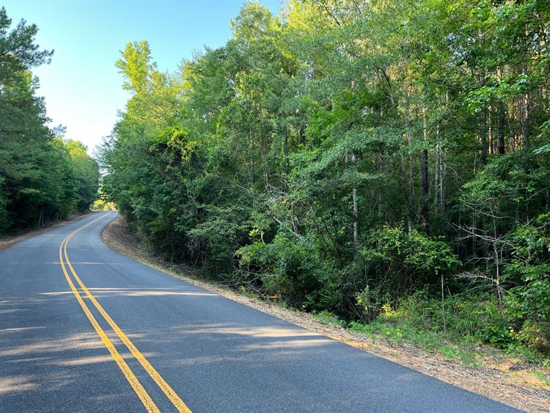10 Tuscaloosa : Northport : Tuscaloosa County : Alabama