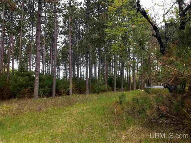 40 Acres Desirable Property : Iron Mountain : Dickinson County : Michigan
