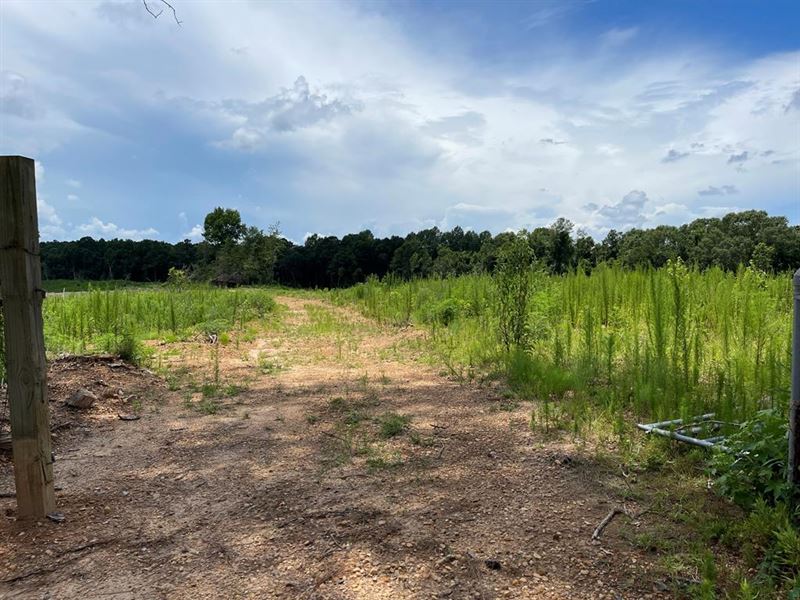 36.7 Ac On MT Carmel Rd, Tylertown : Tylertown : Pike County : Mississippi