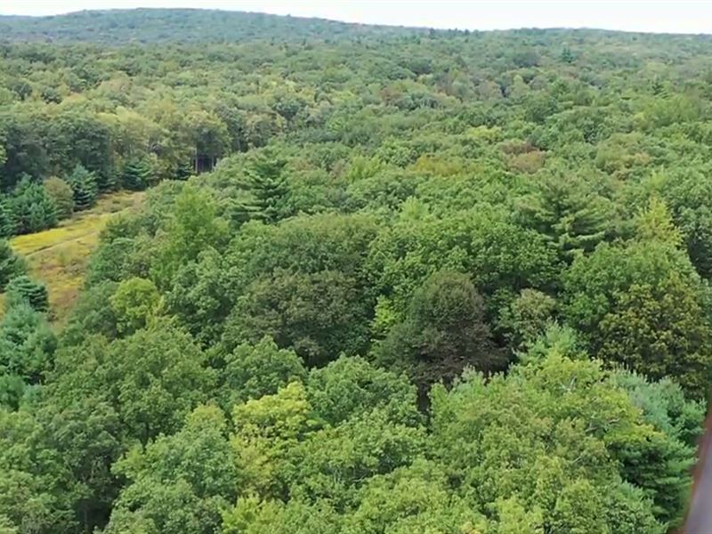 105K Sqft in Dingmans Ferry, PA : Dingmans Ferry : Pike County : Pennsylvania
