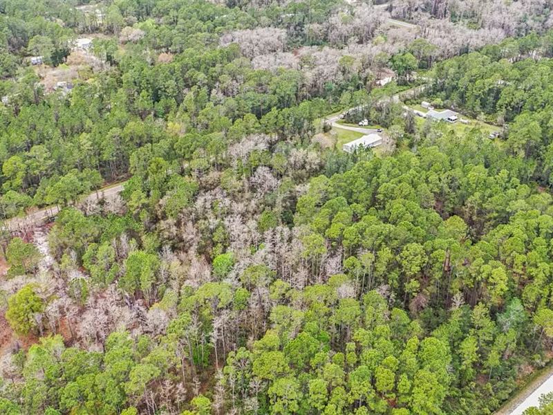 60K Sqft in Hastings, FL : Hastings : Flagler County : Florida