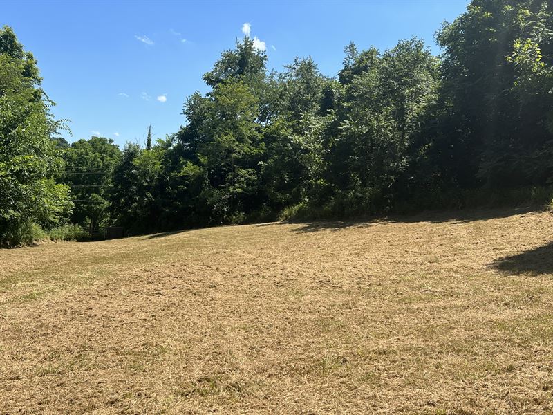 Vinton County, Ohio Land for Sale : Vinton : Vinton County : Ohio