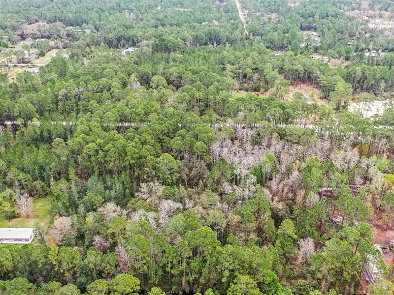54K Sqft in Hastings, FL : Hastings : Flagler County : Florida