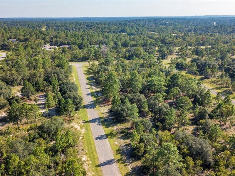 10K Sqft in Dunnellon, FL : Dunnellon : Citrus County : Florida