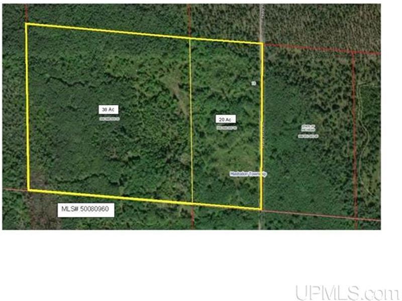 Excellent 58 Acre Parcel : Crystal Falls : Iron County : Michigan