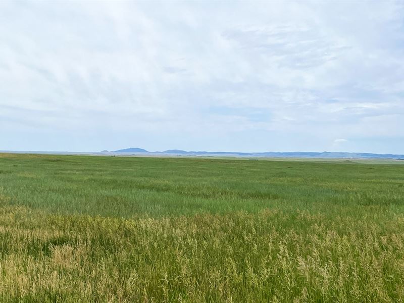 Kirtley 120 : Lusk : Niobrara County : Wyoming
