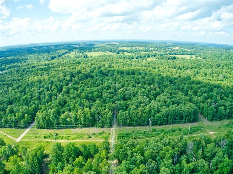 7 Adjacent Lots Near 3 Lakes & Golf : Horseshoe Bend : Izard County : Arkansas