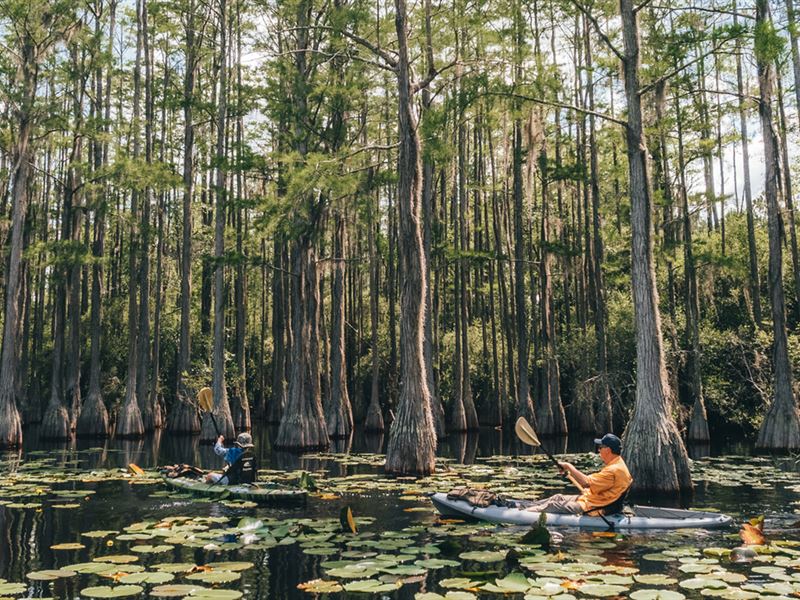 Apalachee Estates Tract 4 : Monticello : Jefferson County : Florida