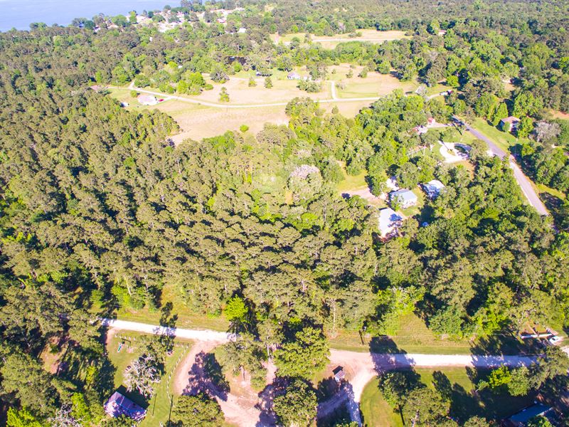 Your Greatest Investment : Coldspring : San Jacinto County : Texas