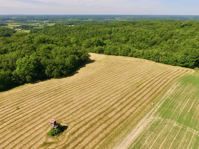 40 Acres in Dunn County : Boyceville : Dunn County : Wisconsin