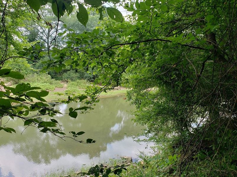80 Ac with Cabin On Kiamichi River : Stanley : Pushmataha County : Oklahoma
