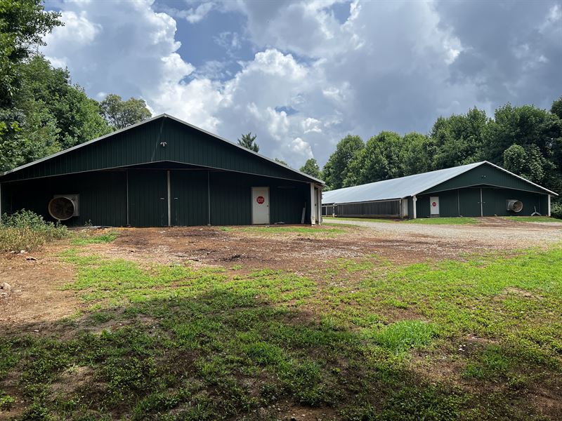 Nice Broiler Farm : Cleveland : White County : Georgia