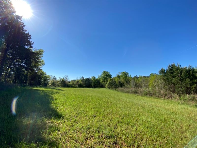 Falling Creek Farms 1a : Elberton : Elbert County : Georgia