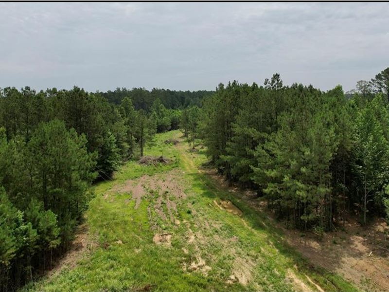 38.54 Acres in Lincoln County in Bo : Bogue Chitto : Lincoln County : Mississippi
