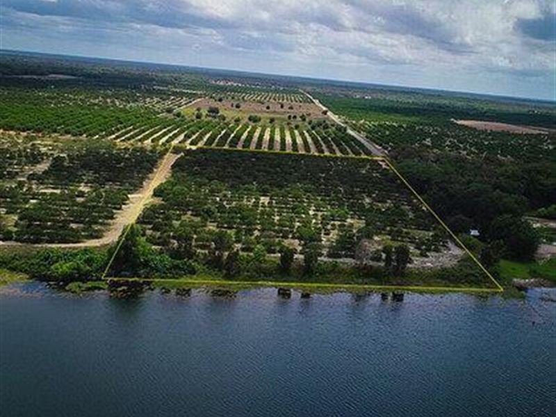 8 ac Lakefront on Lake Aurora, FL : Lake Wales : Polk County : Florida