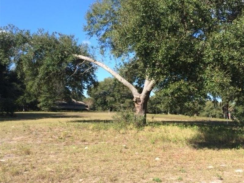 CR 437 & Wolf Branch Road : Sorrento : Lake County : Florida