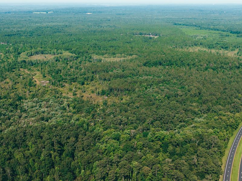 Apalachee Estates Tract 5 : Monticello : Jefferson County : Florida