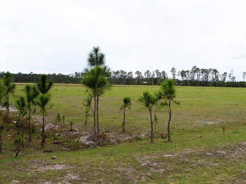100 Acre Gentlemens Ranch : New Smyrna Beach : Volusia County : Florida