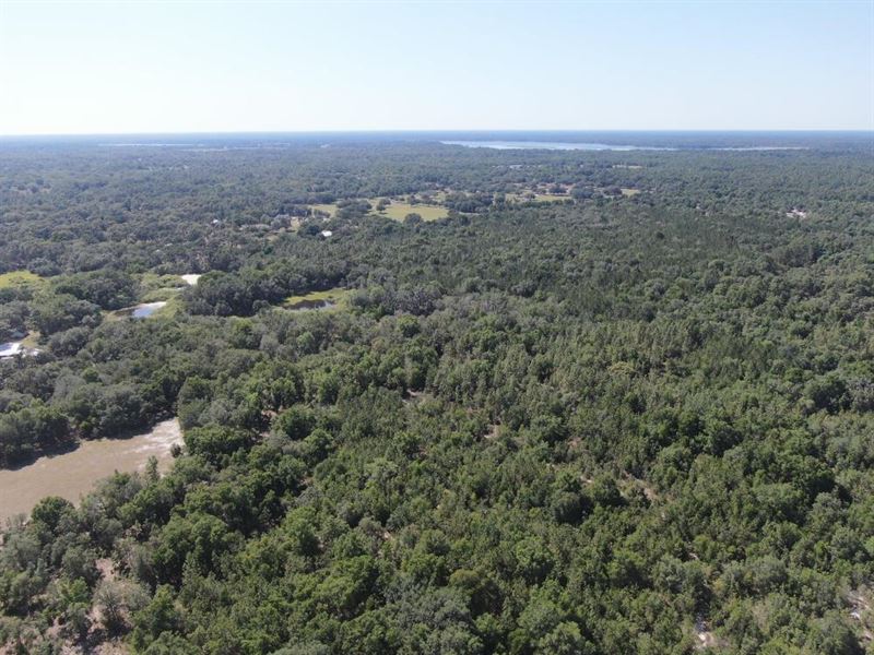 Potential Large Lot Equestrian Dev : Dunnellon : Citrus County : Florida