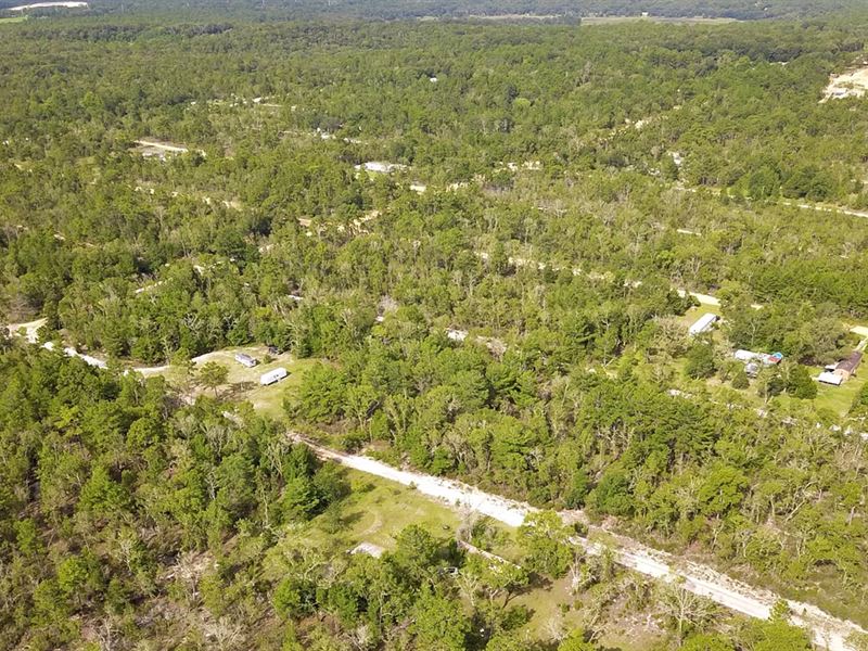 13K Sqft in Interlachen, FL : Interlachen : Putnam County : Florida