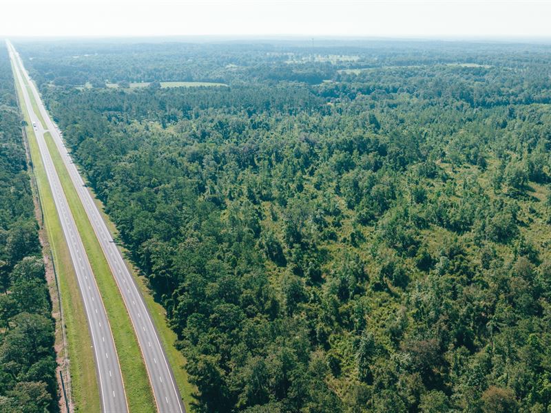 Apalachee Estates Tract 6 : Monticello : Jefferson County : Florida