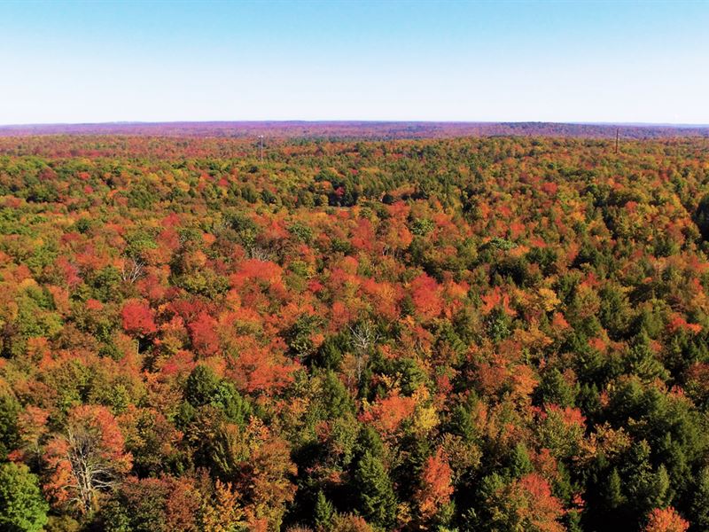 45K Sqft in Dingmans Ferry, PA : Digmans Ferry : Pike County : Pennsylvania