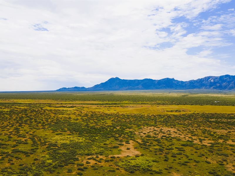 40 Acre Property in Luna County, NM : Deming : Luna County : New Mexico