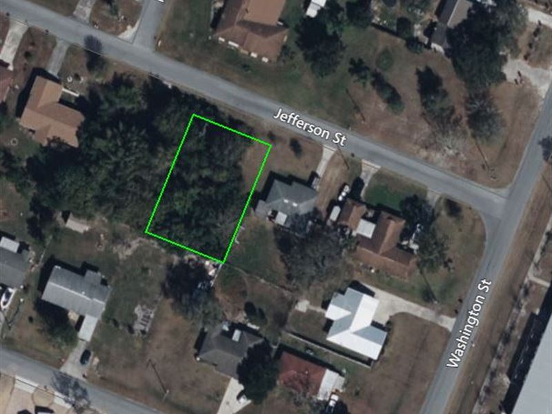 High & Dry Dream Home Lot : Lake Wales : Polk County : Florida