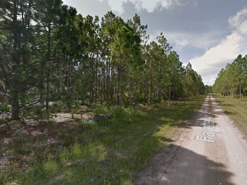 .25 Ac Lot for Sale in Lehigh Acres : Lehigh Acres : Lee County : Florida