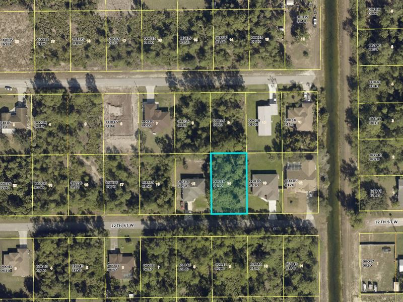 Residential Lot for Sale in Florida : Lehigh Acres : Lee County : Florida