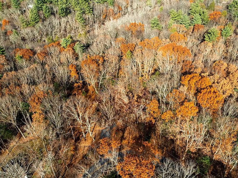 50K Sqft in East Stroudsburg, PA : East Stroudsburg : Pike County : Pennsylvania
