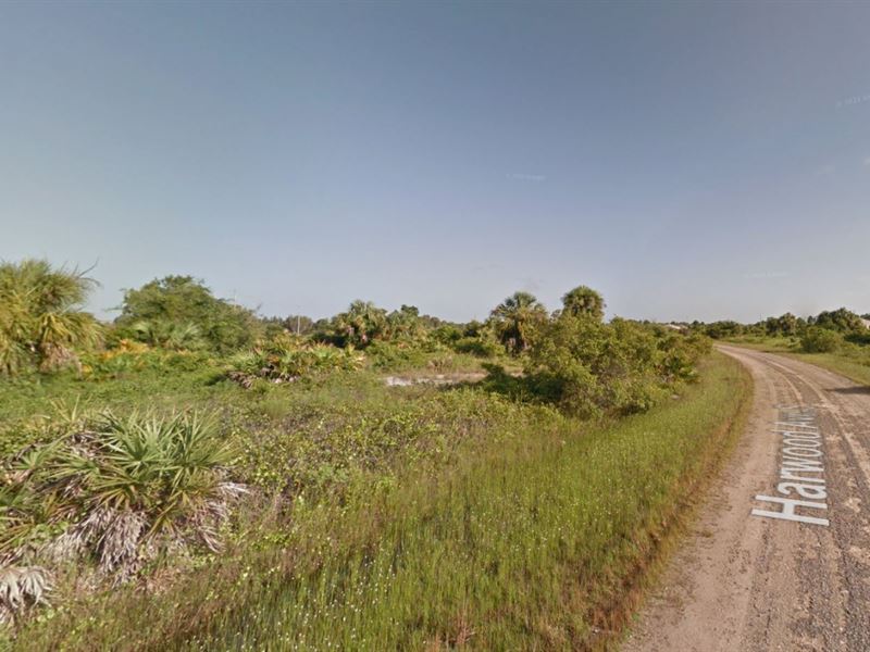 .25 Acre Lot in Lee County, FL : Lehigh Acres : Lee County : Florida
