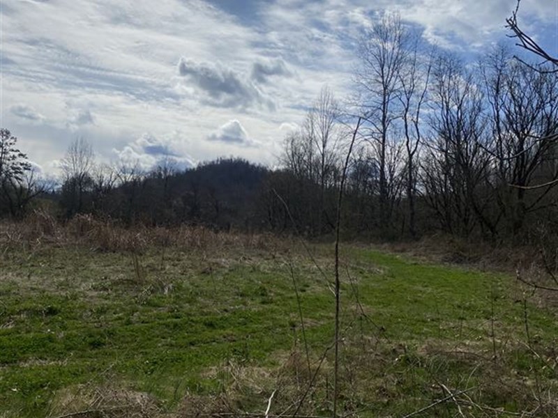 Clay County, Kentucky : Manchester : Clay County : Kentucky