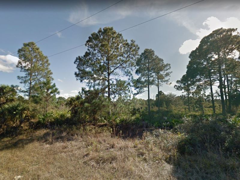 Nature Awaits You : Lehigh Acres : Lee County : Florida