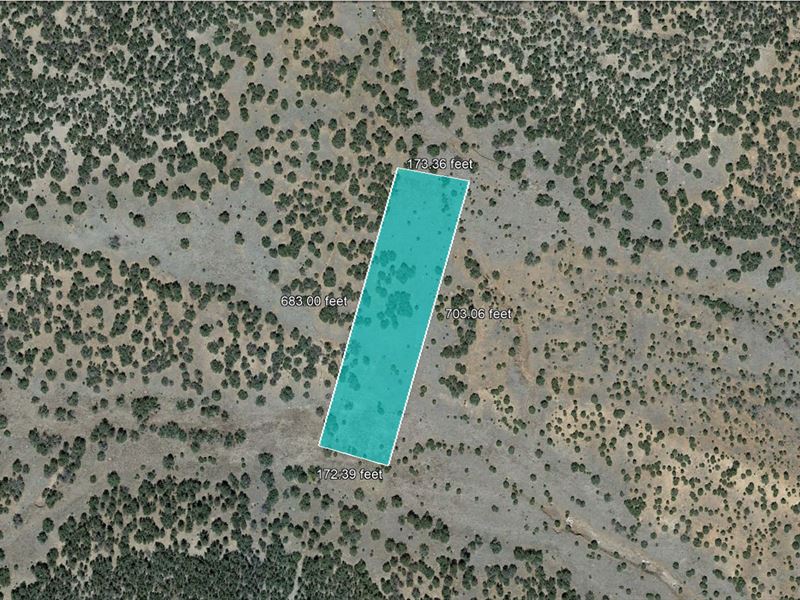 3.70 Acre Buildable Lot in Tijeras : Tijeras : Bernalillo County : New Mexico