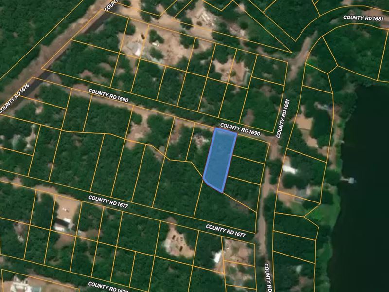 .2 Ac Unrestricted Vacant Lot : Alba : Wood County : Texas