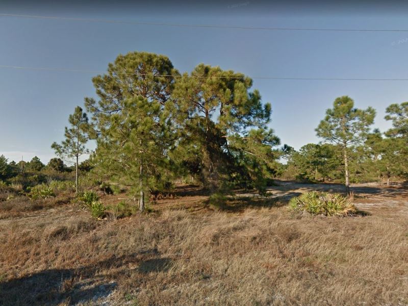 Retire to 0.25 Acre in Lee County : Lehigh Acres : Lee County : Florida