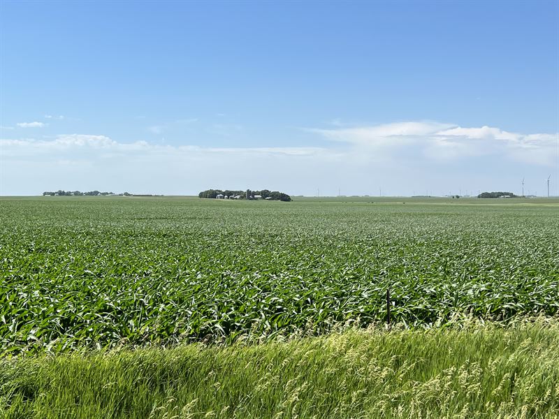 Outstanding Tillable Farmland : Milford : Dickinson County : Iowa