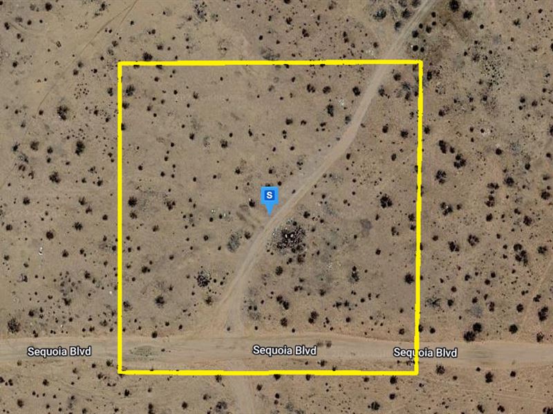 Peaceful and Quiet Getaway : Edwards : Kern County : California