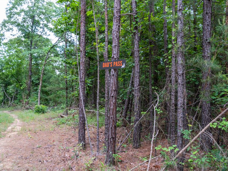 Antlers Hunting Mecca, 992 Acres : Antlers : Pushmataha County : Oklahoma