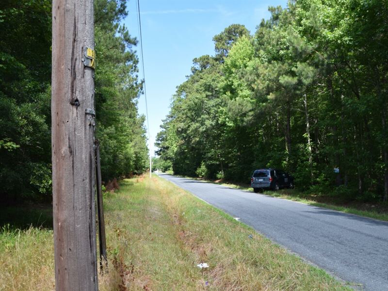 1.62 Ac No Deed Restrictions or Hoa : Birdsnest : Northampton County : Virginia
