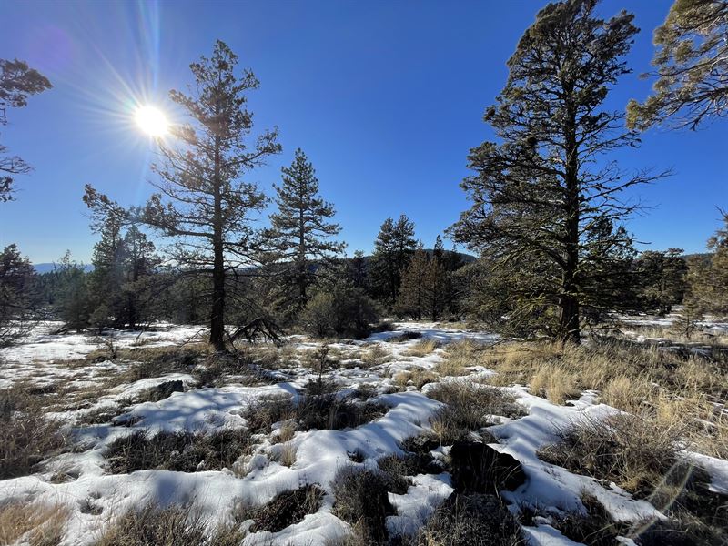 Peaceful & Quiet, Mountain Views : Bonanza : Klamath County : Oregon