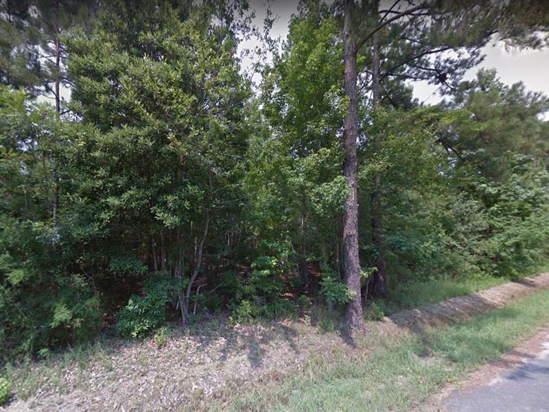 .11 Acre in Bay Saint Louis, MS : Bay Saint Louis : Hancock County : Mississippi