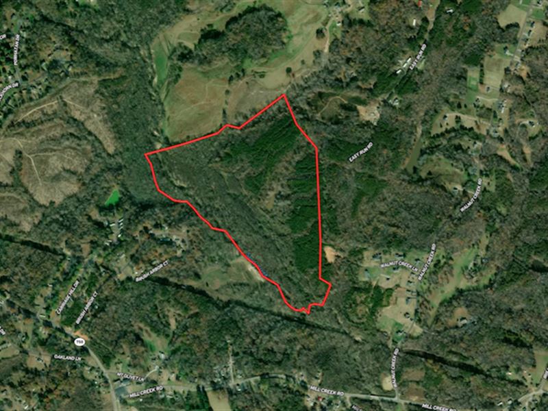 Reduced, 93 Acres of Residential : Danville : Pittsylvania County : Virginia