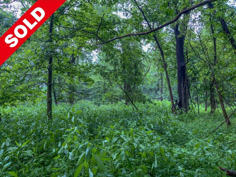 Northgate Dr, 19 Acres, Guernsey : Cambridge : Guernsey County : Ohio