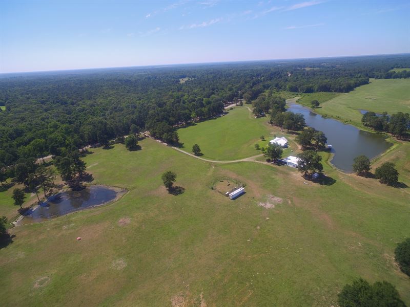 150 Acre Turn-Key Ranch : Annona : Red River County : Texas
