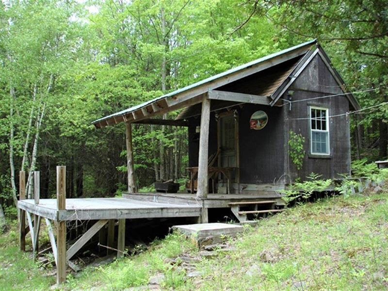 Hemlock Knoll Forest : Dickinson : Franklin County : New York